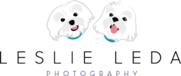 Leslie Leda Photography LLC logo